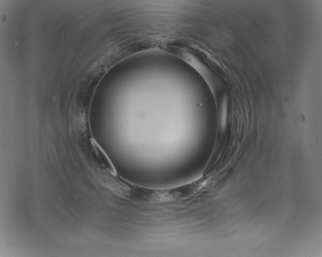 X0000076270613200610051312