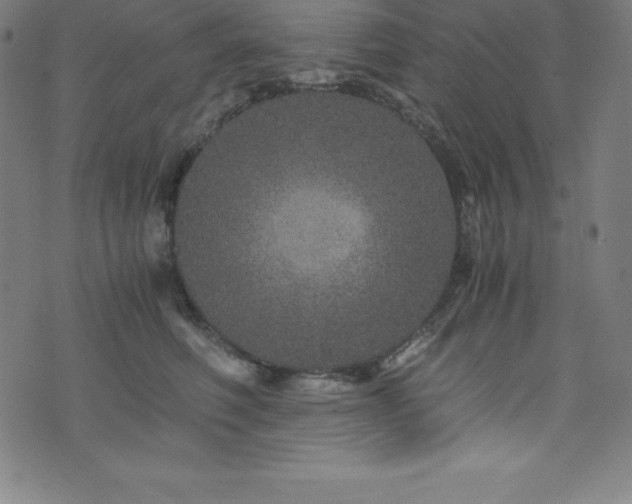 X0000076270614200610051312