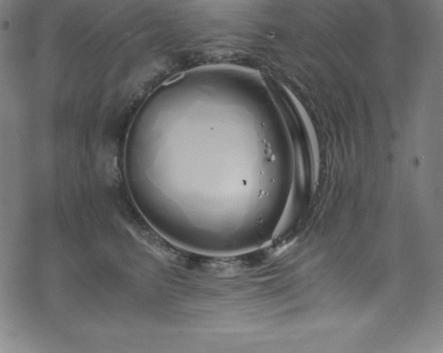 X0000076270615200610051312