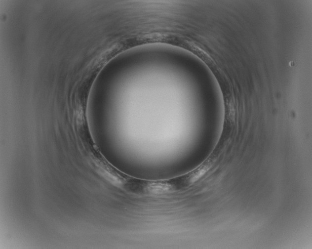 X0000076270617200610051312