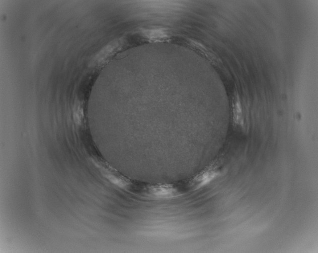 X0000076270618200610051312