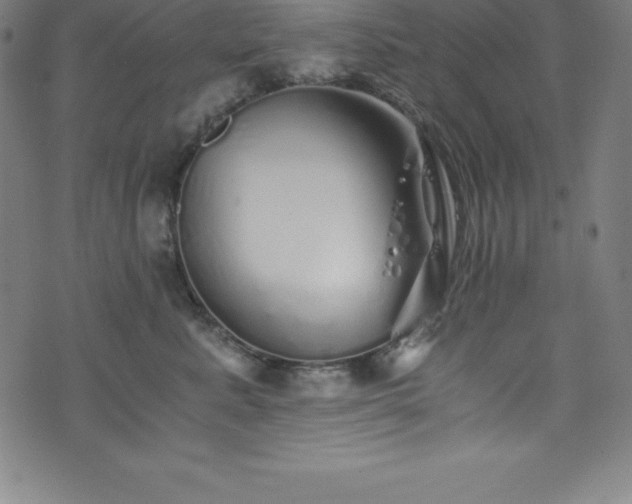 X0000076270619200610051312