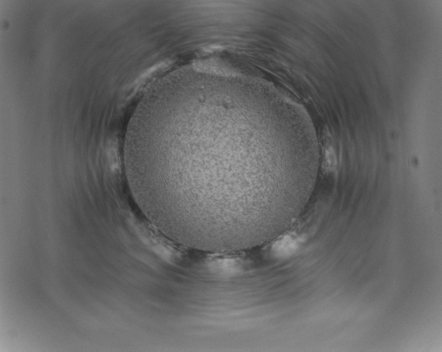 X0000076270620200610051312