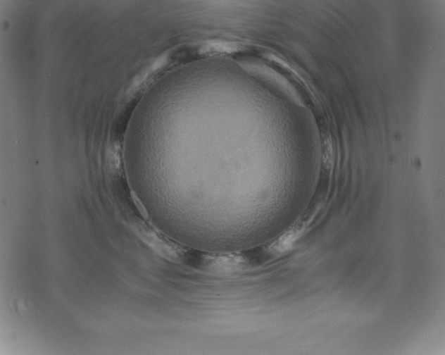 X0000076270621200610051312