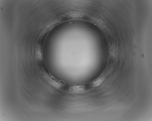 X0000076270622200610051312