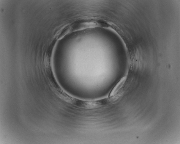 X0000076270623200610051312