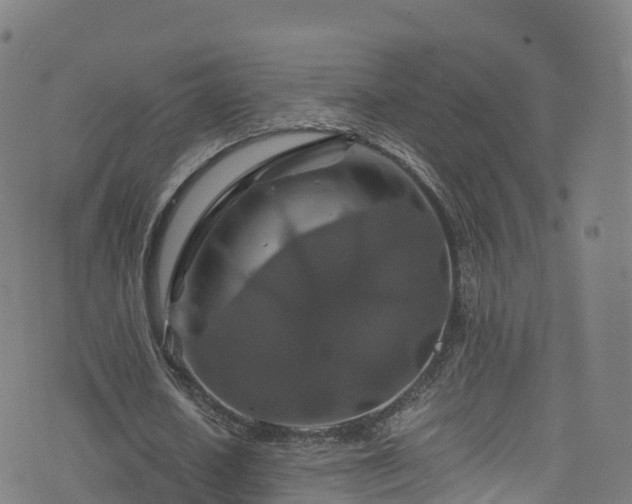 X0000076270626200610051311