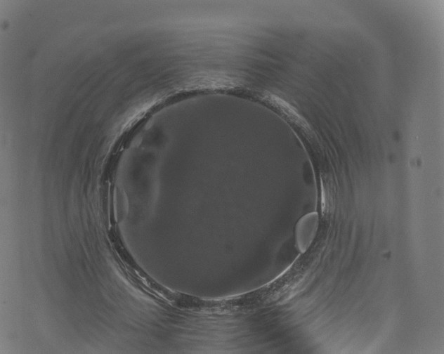 X0000076270627200610051311