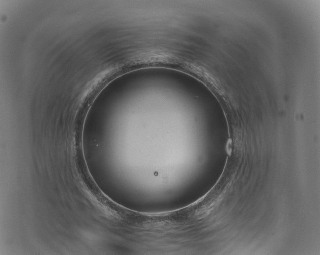 X0000076270629200610051311