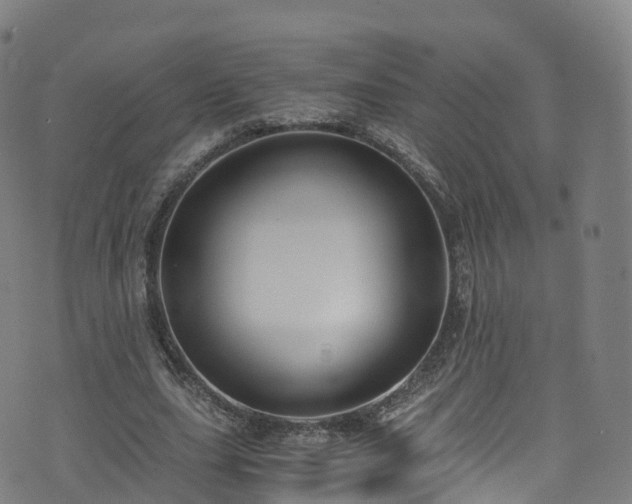 X0000076270631200610051311