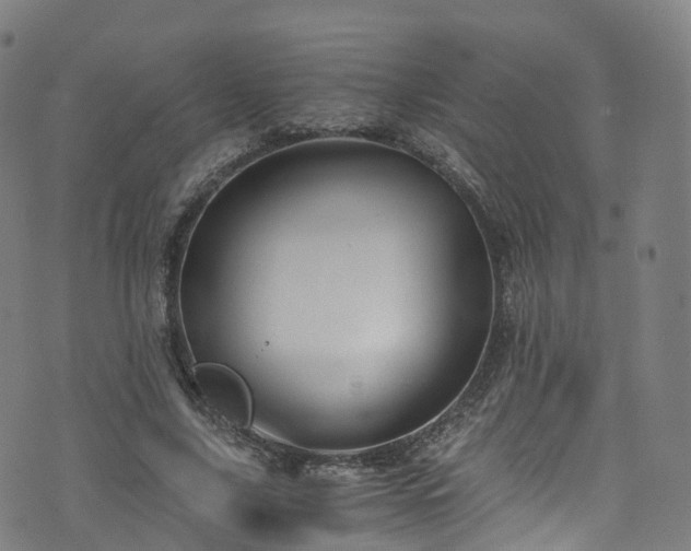 X0000076270635200610051311