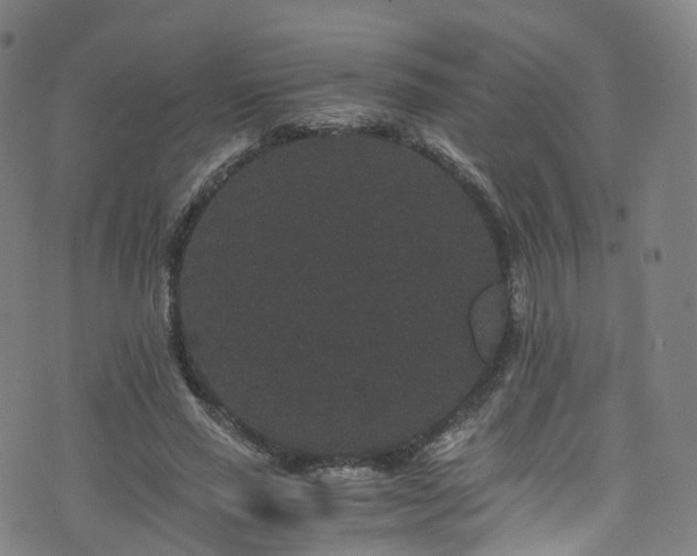 X0000076270637200610051311