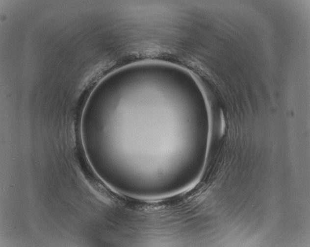 X0000076270638200610051311