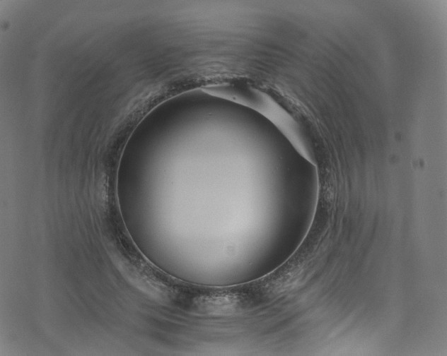 X0000076270639200610051311