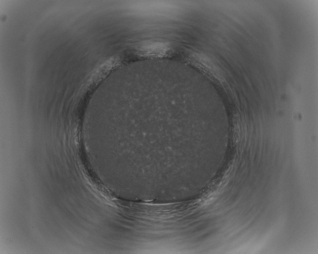 X0000076270641200610051312