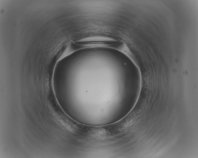 X0000076270642200610051312