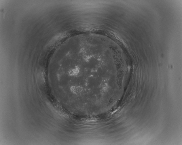 X0000076270643200610051312