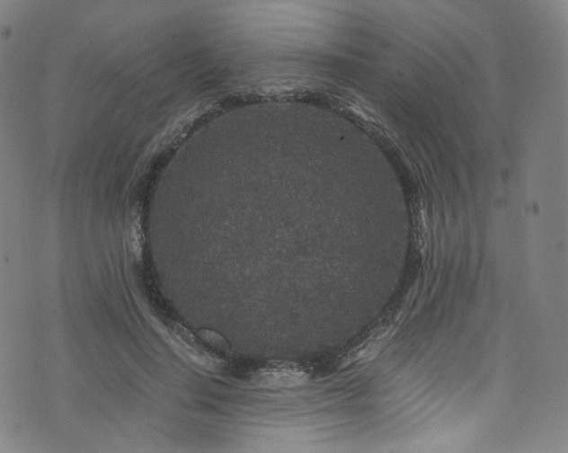 X0000076270644200610051312