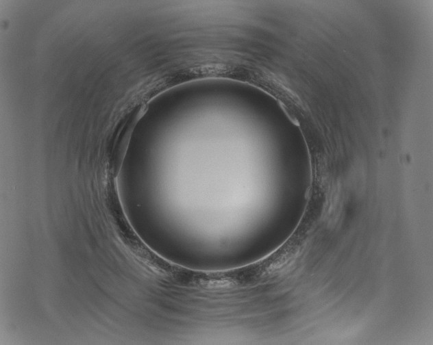 X0000076270645200610051312