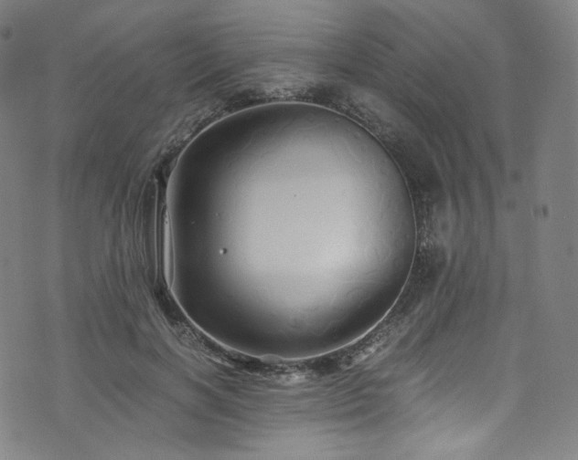 X0000076270646200610051312