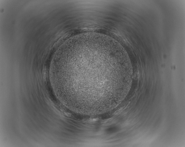 X0000076270647200610051312