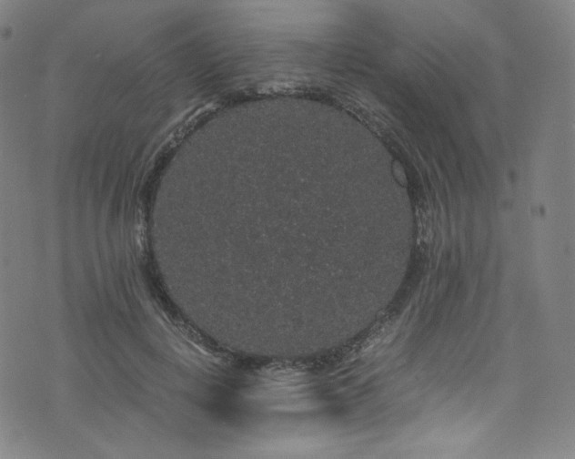 X0000076270648200610051312