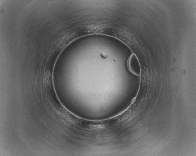 X0000076270649200610051312