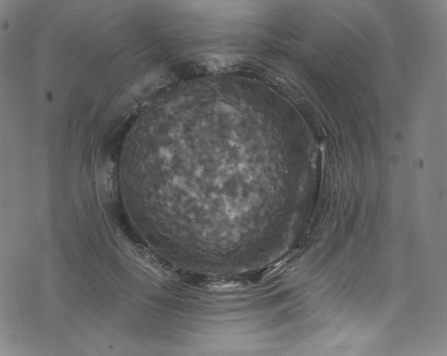 X0000076270650200610051312