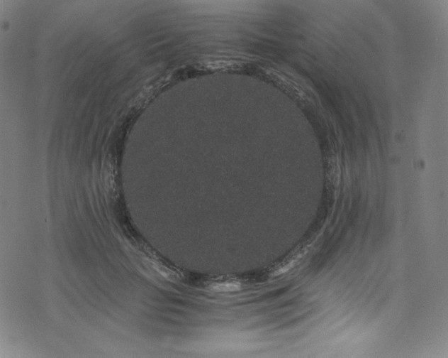 X0000076270653200610051312