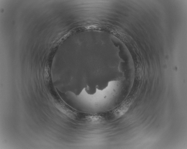 X0000076270654200610051312