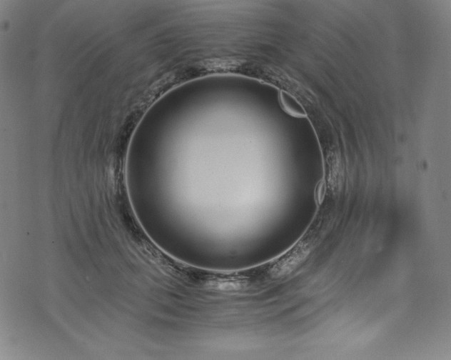 X0000076270655200610051312