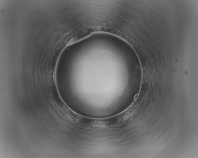 X0000076270656200610051312