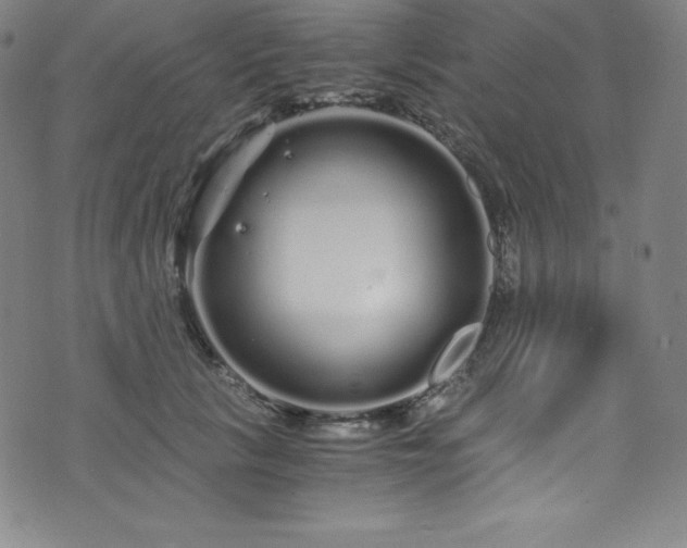 X0000076270657200610051312