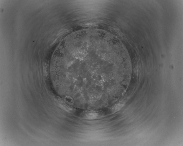 X0000076270658200610051312