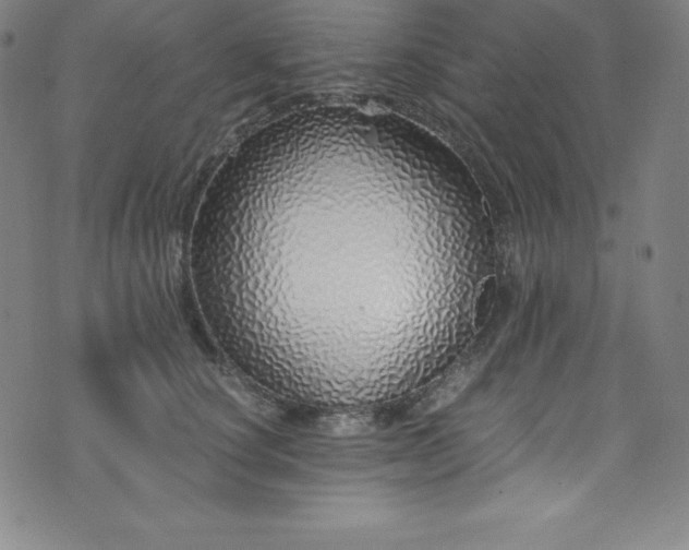 X0000076270660200610051312