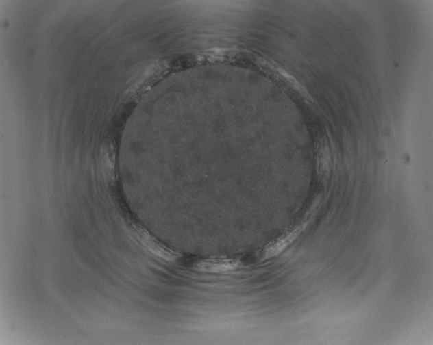 X0000076270661200610051312