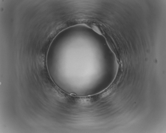 X0000076270664200610051312