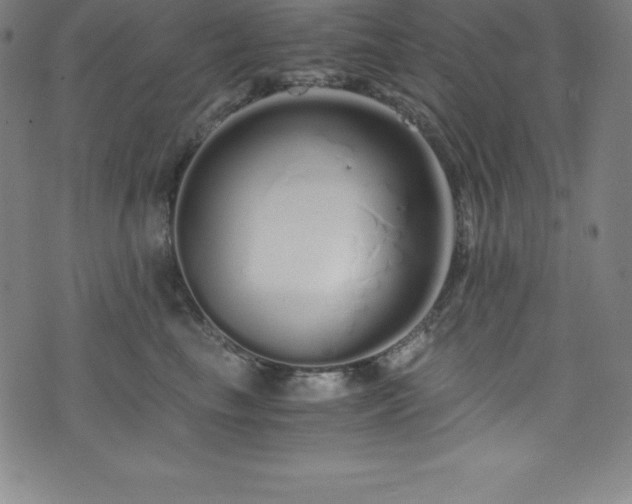 X0000076270665200610051312