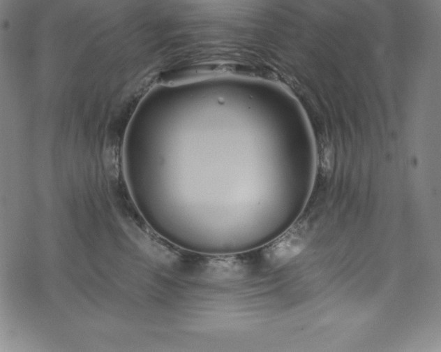 X0000076270666200610051312