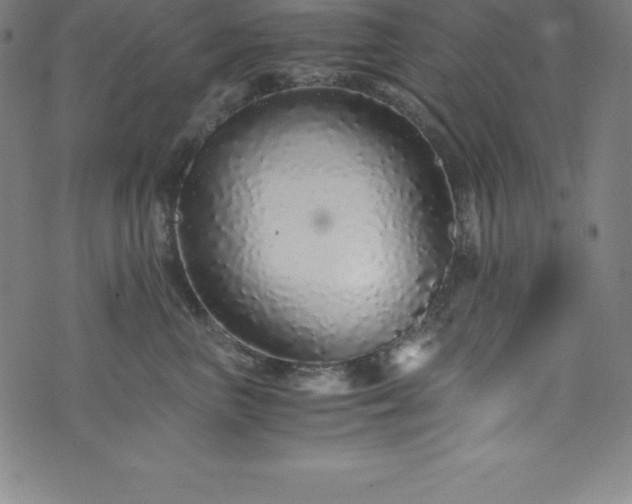 X0000076270667200610051312