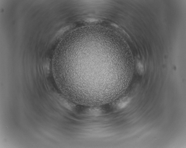 X0000076270668200610051312