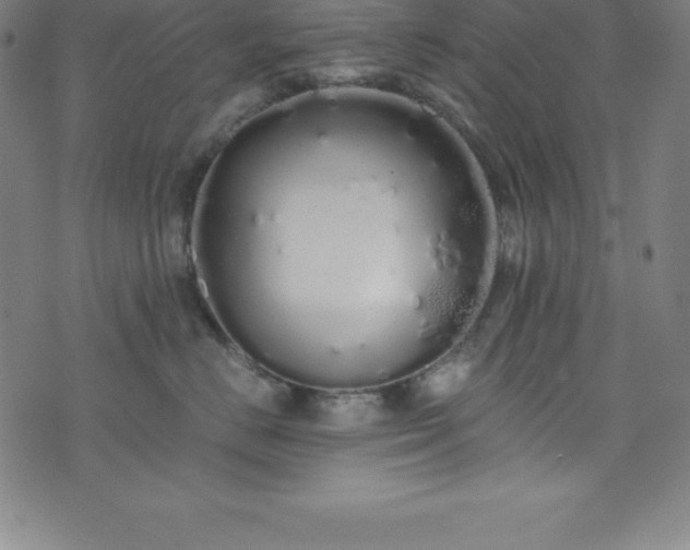 X0000076270670200610051312