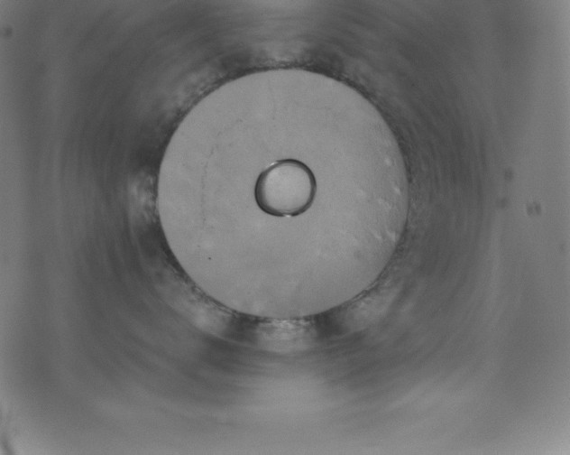 X0000076270672200610051312