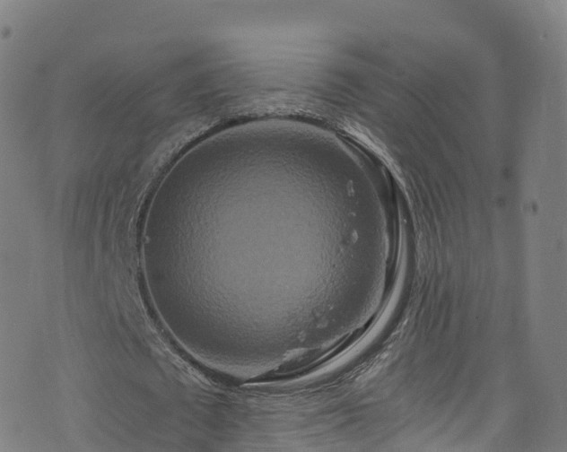 X0000076270673200610051311