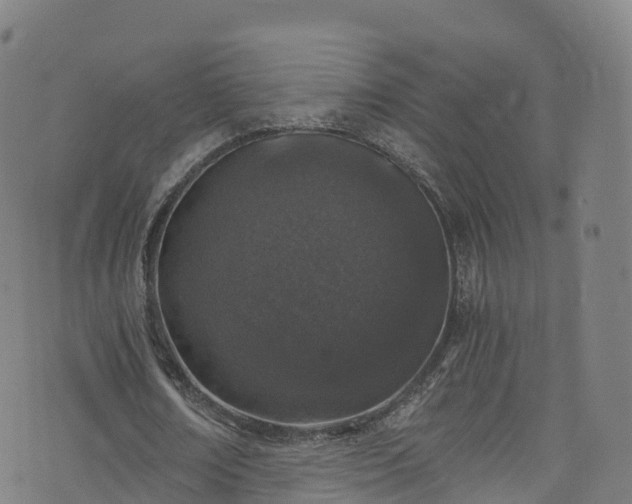 X0000076270674200610051311