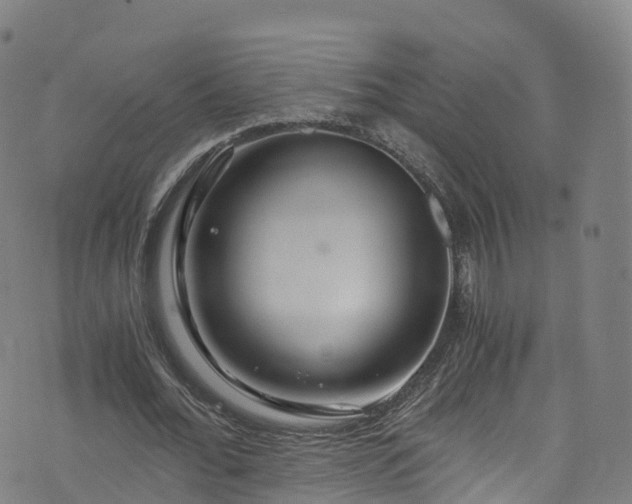 X0000076270676200610051311