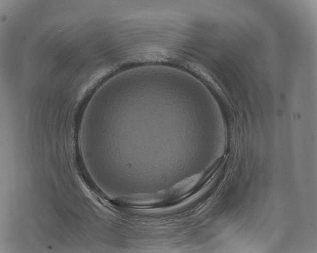 X0000076270677200610051311