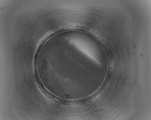 X0000076270678200610051311