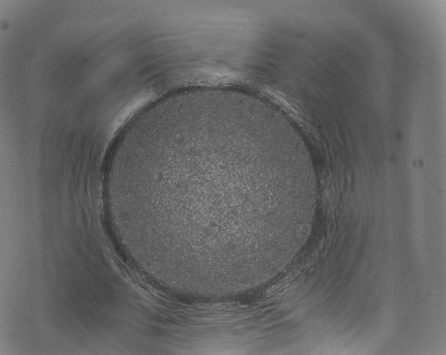 X0000076270679200610051311