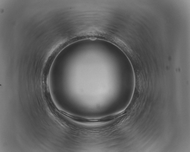 X0000076270680200610051311